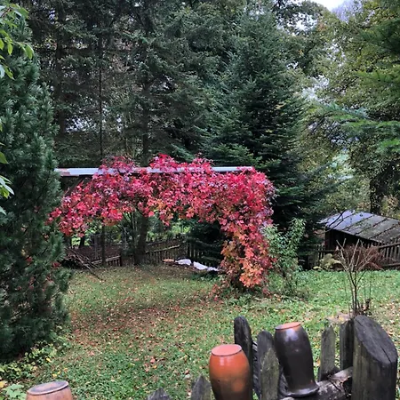 Chichotava Breza Szentanna