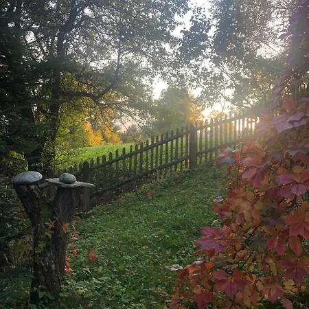 Chichotava Breza * Szentanna