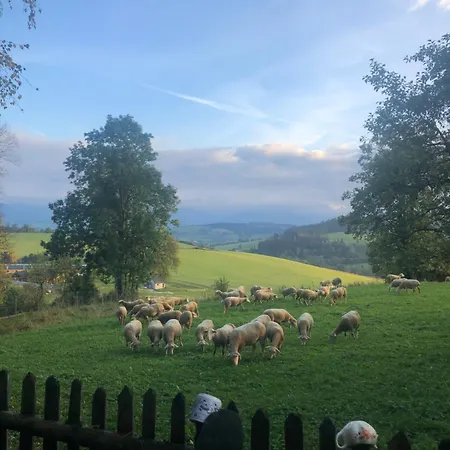 Chichotava Breza * Szentanna