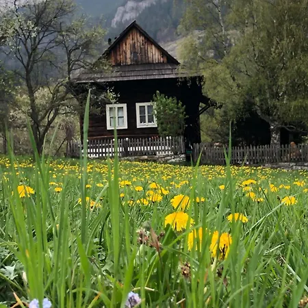 Chichotava Breza * Szentanna