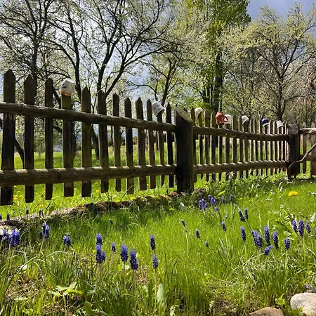 Nyaraló Chichotava Breza *