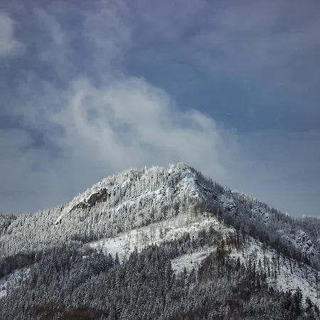 Chichotava Breza Szentanna