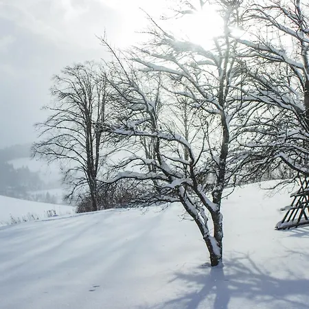 Chichotava Breza Nyaraló Szentanna